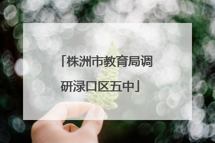 株洲市教育局调研渌口区五中